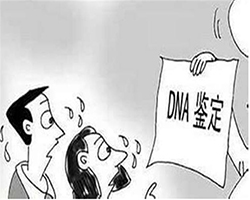 南昌正规个人DNA亲子鉴定中心正规机构有哪些